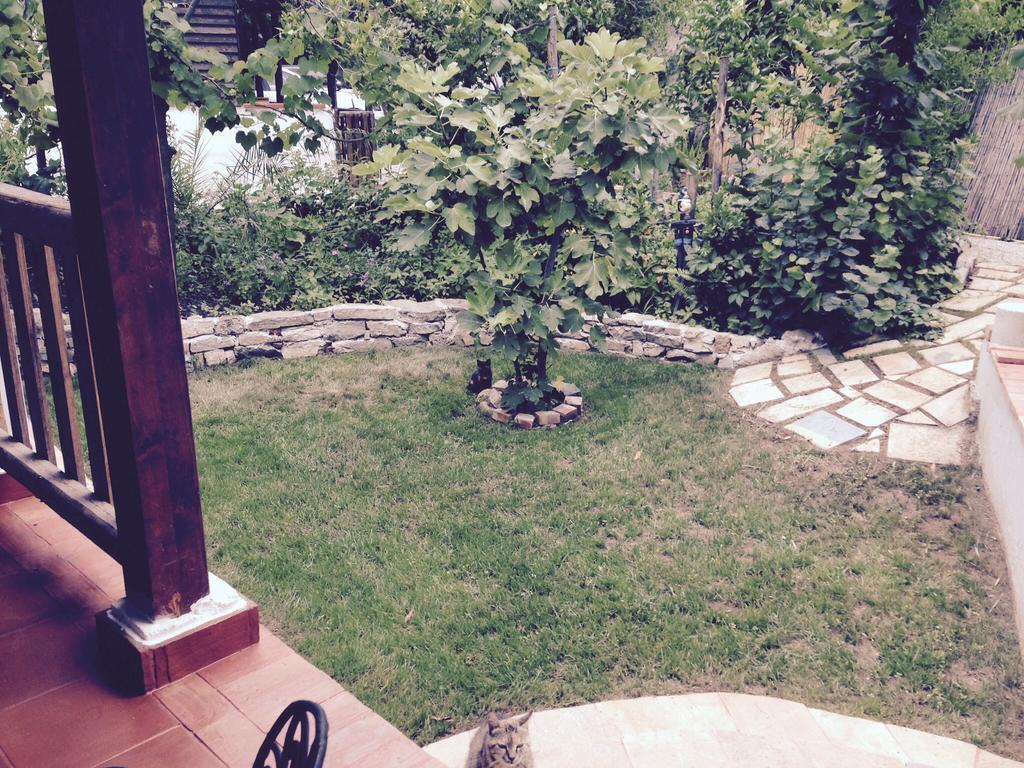 Residenza Luna Paestum Zewnętrze zdjęcie